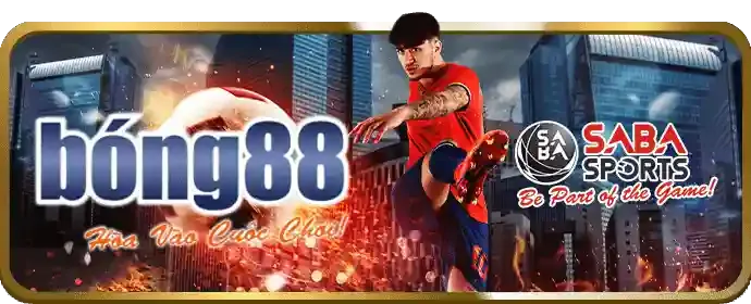 Hỗ trợ 24/7 6bet